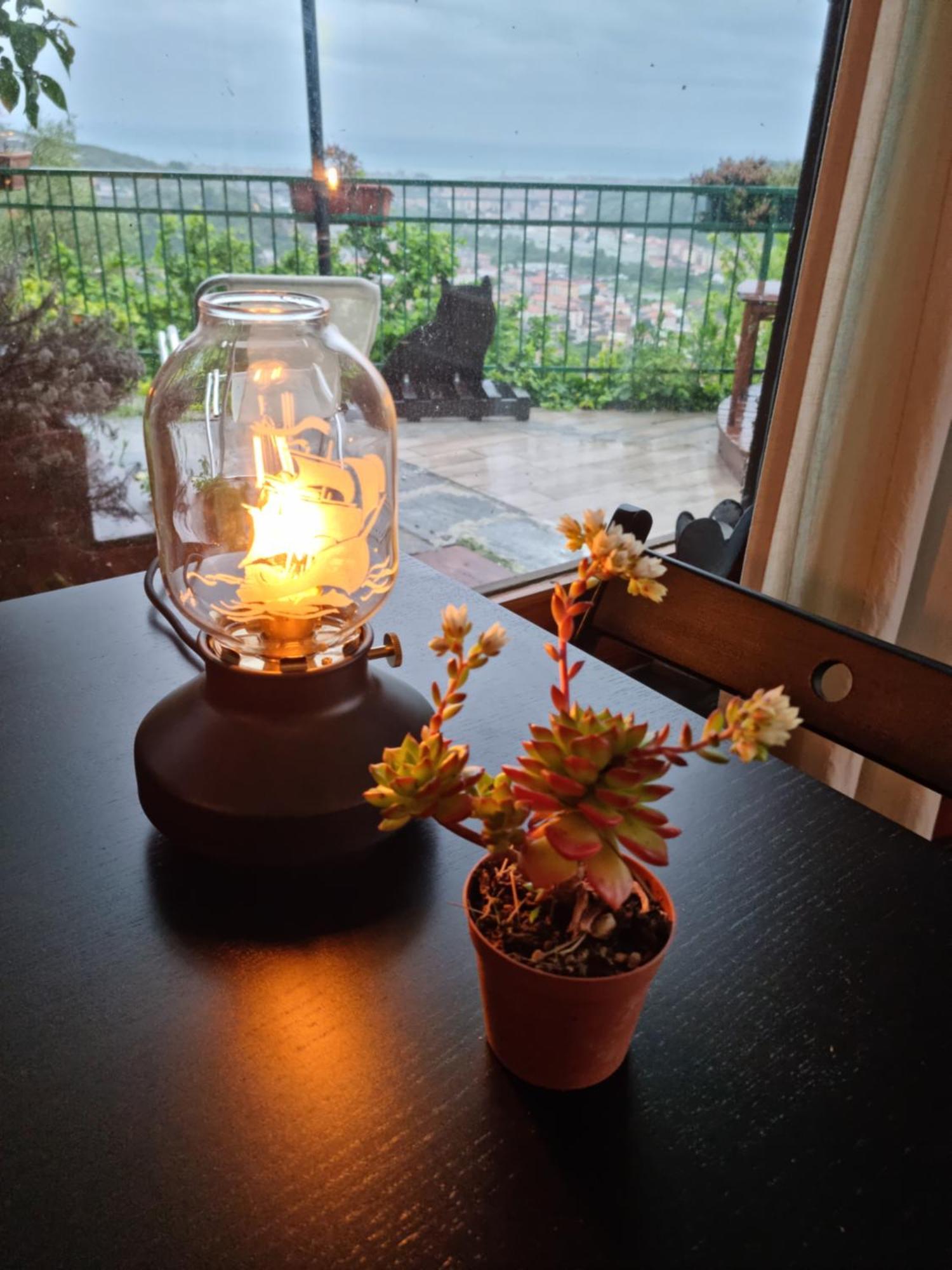 B&B La Terrazza Sui Fieschi Cogorno Ngoại thất bức ảnh